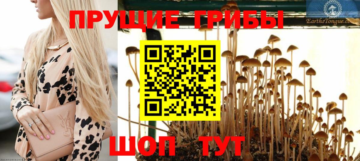 Туапсе  Галлюциногенные грибы Psilocybe  Псилоцибиновые грибы мухоморы  где найти наркотики  Вход с VPN 